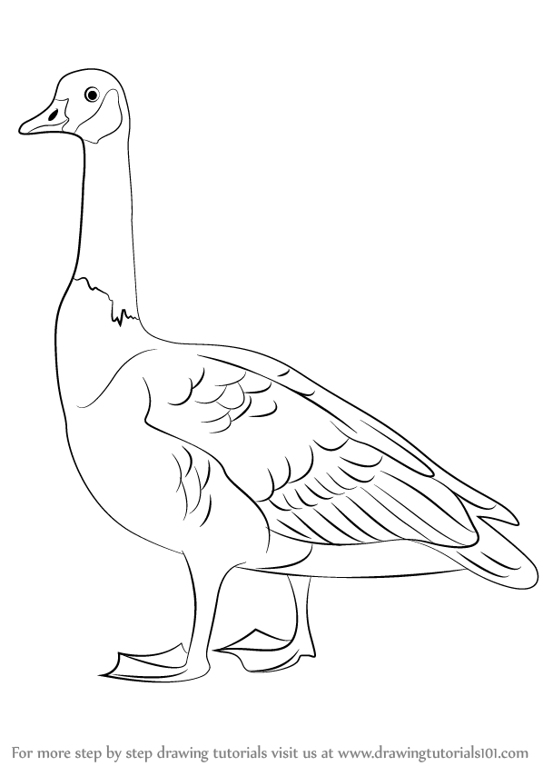 goose clipart drawing