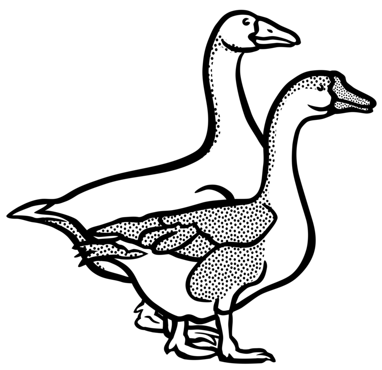 goose clipart drawing