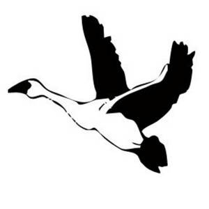 goose clipart flying