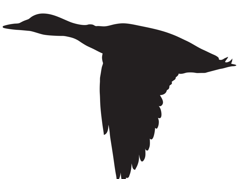 Free Free 227 Snow Goose Svg SVG PNG EPS DXF File