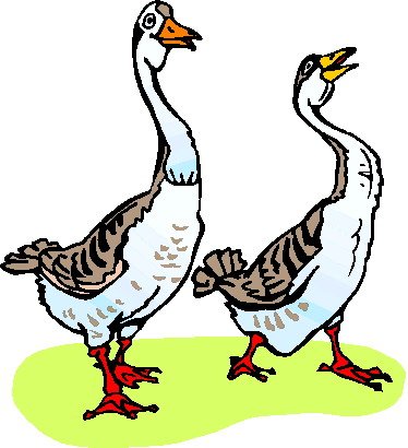 goose clipart gaggle goose