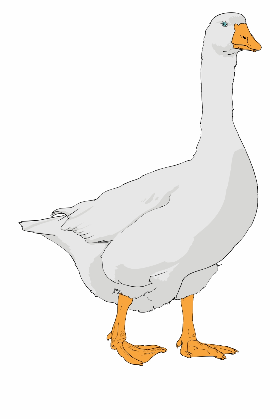 goose clipart goose head