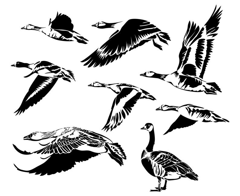 Goose clipart goose hunting, Goose goose hunting Transparent FREE for ...