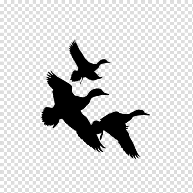 goose clipart goose hunting