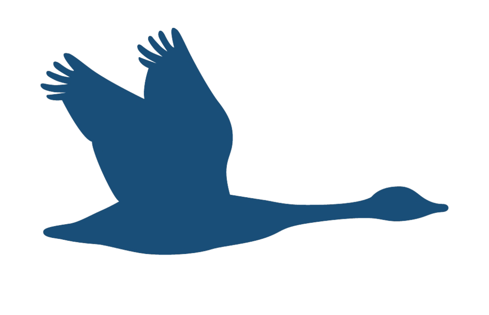 grey goose logo vector transparent