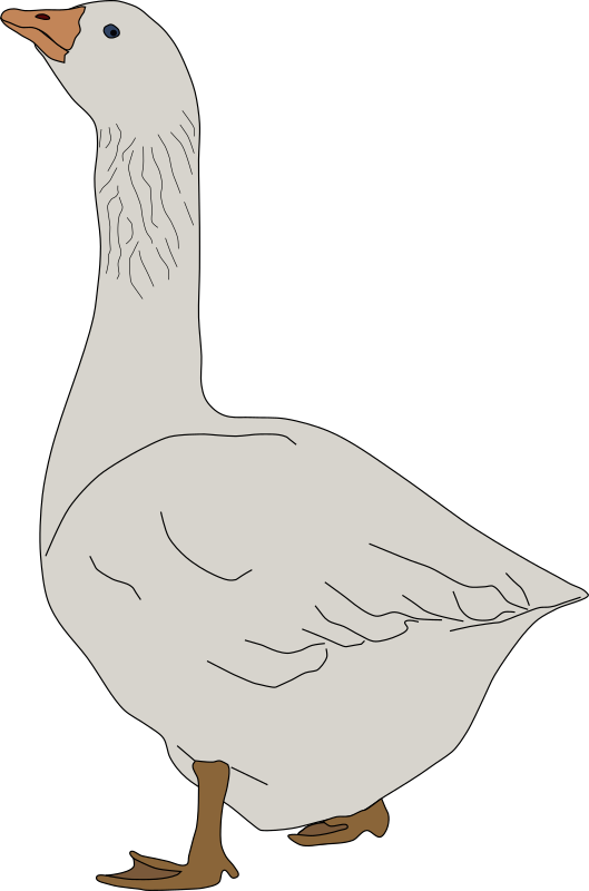 Goose clipart grey goose. Oca de pie medium