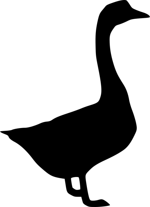 Goose clipart grey goose. Png free images toppng