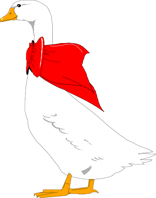 Goose clipart migratory bird. Free pictures images found