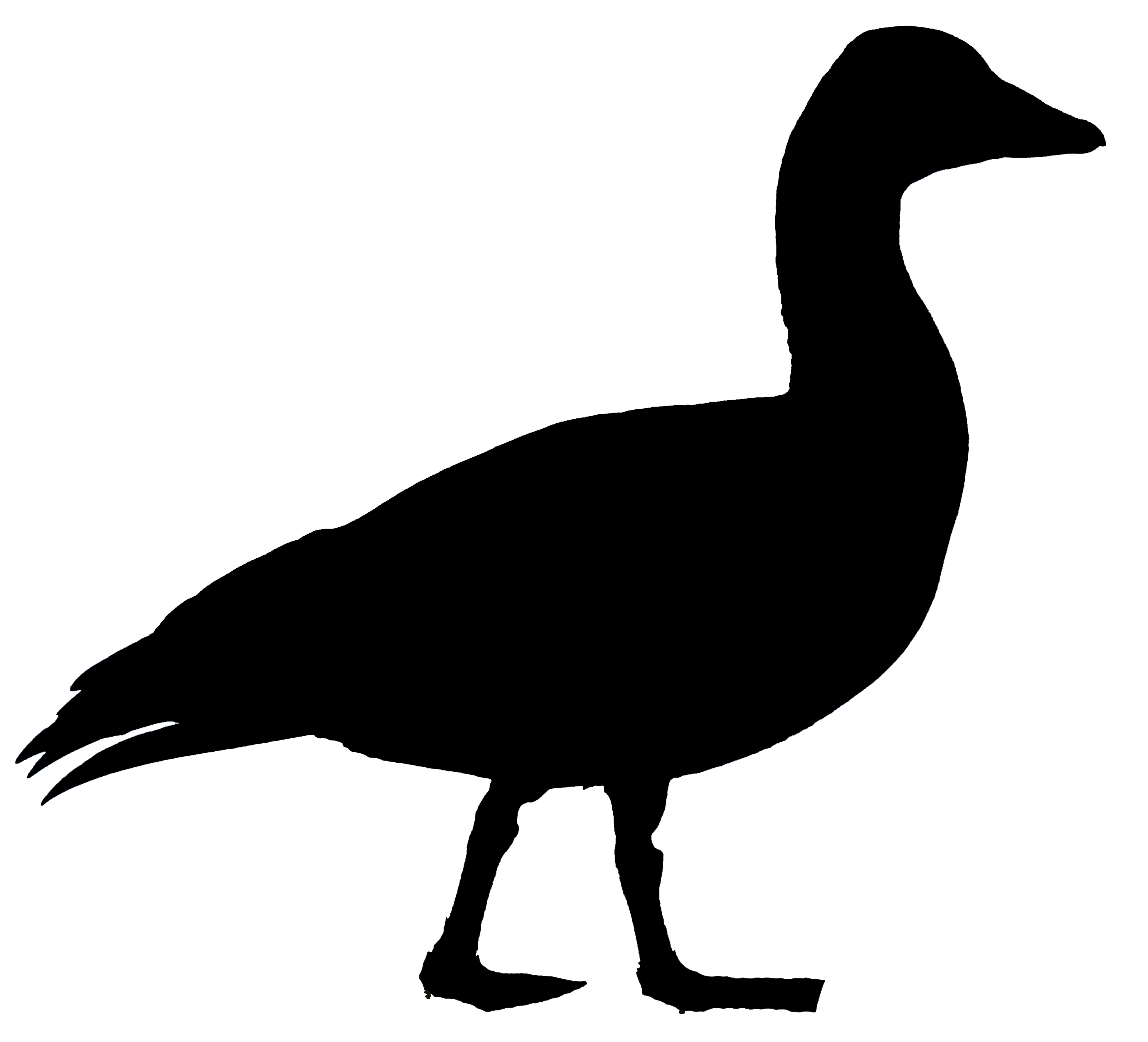 Silhouette at getdrawings com. Goose clipart snow goose