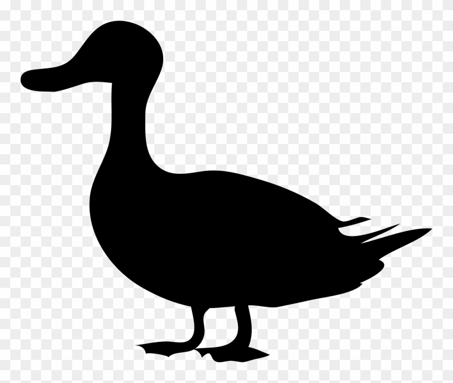 Goose clipart stencil. Eend duck silhouette clip