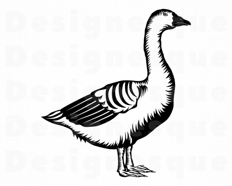 goose clipart vector