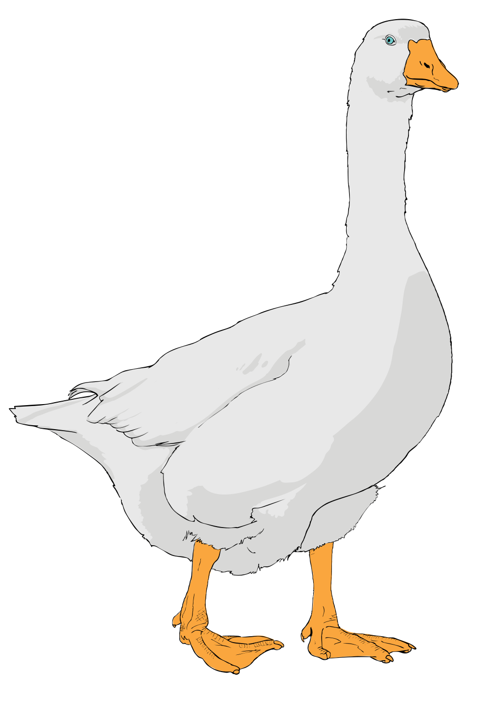 File svg wikimedia commons. Goose clipart vector