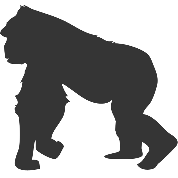 gorilla clipart albino