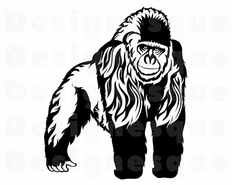 Gorilla clipart body. Svg files for cricut