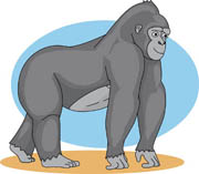 gorilla clipart clip art