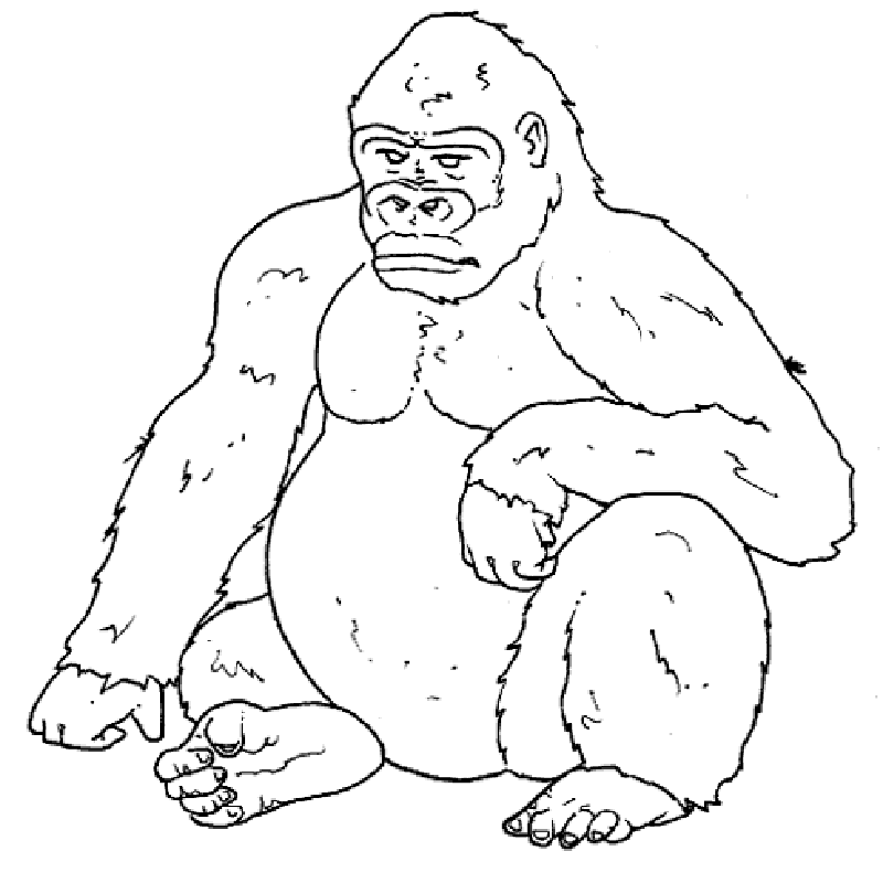 gorilla clipart easy