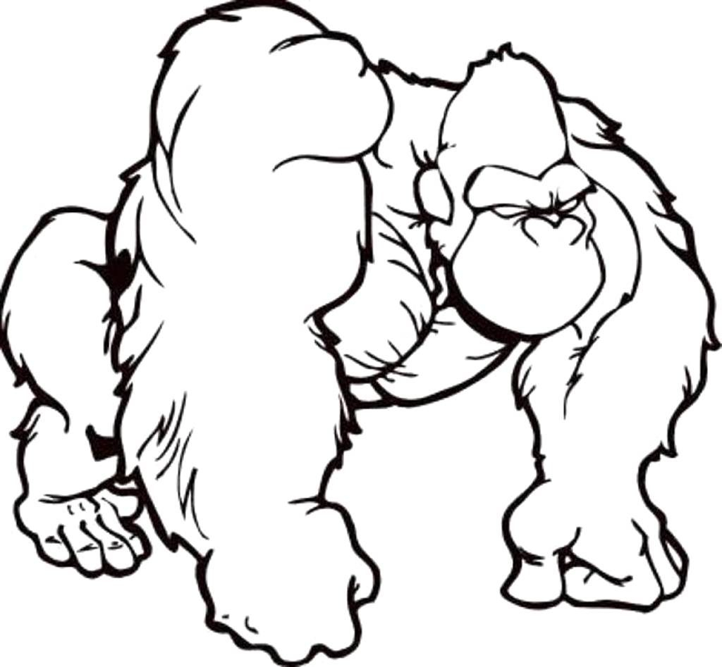 gorilla clipart easy draw