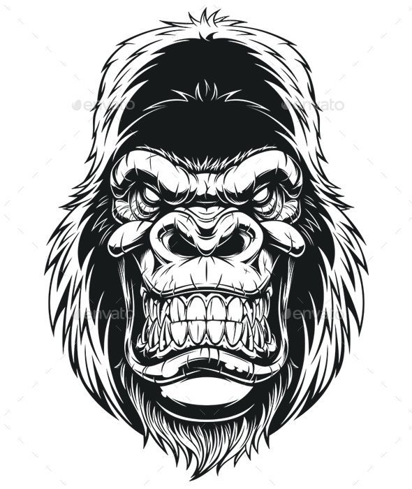 gorilla clipart ferocious