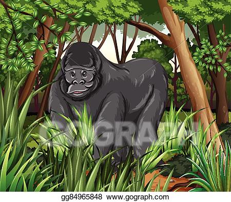 gorilla clipart jungle gorilla