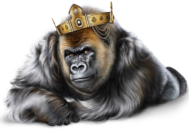 Gorilla king kong