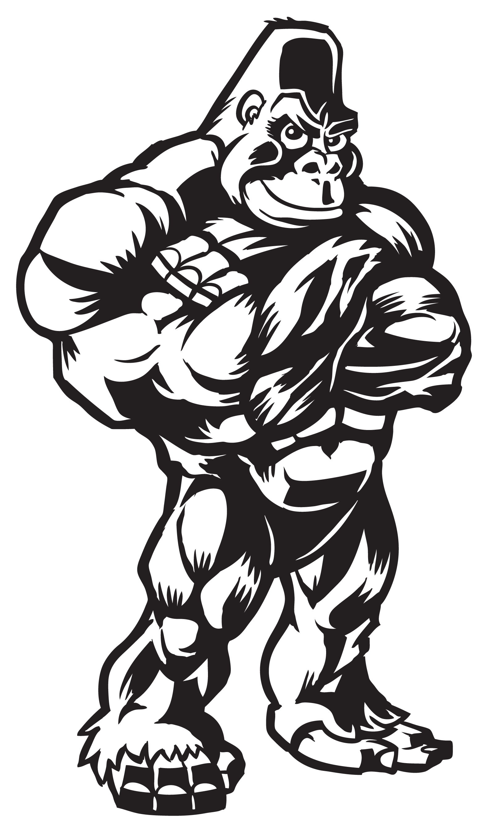 Gorilla clipart muscle. About us fitness