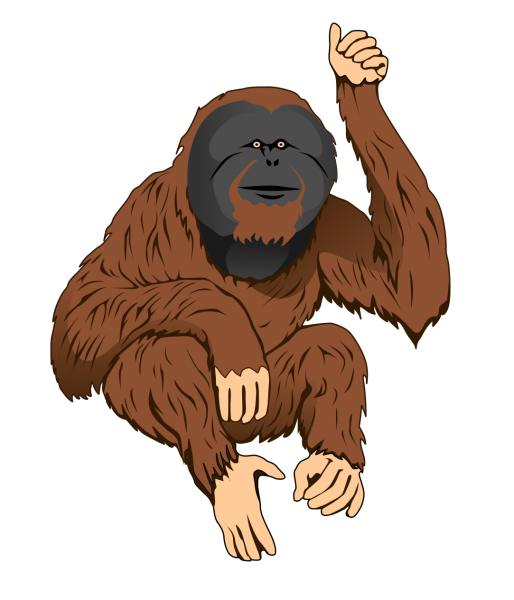 gorilla clipart orangutan