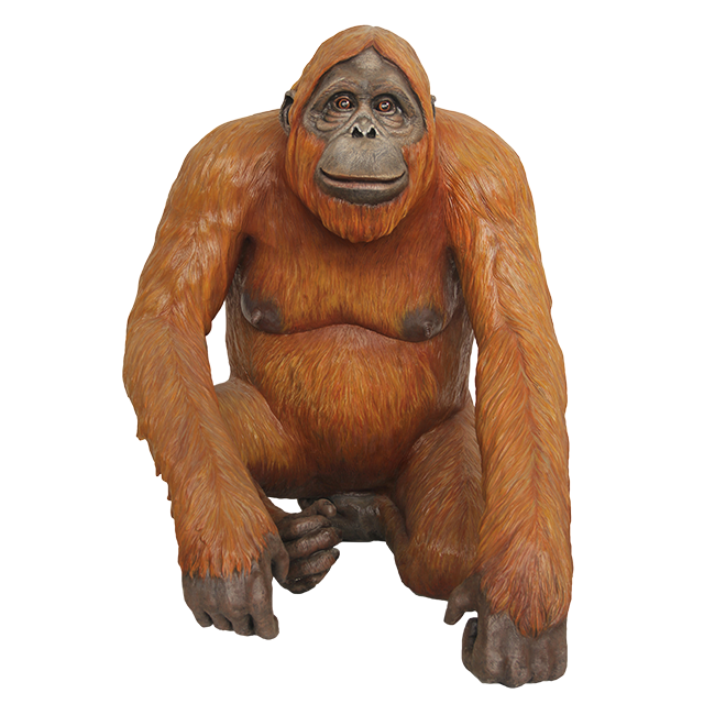 Png images free download. Orange clipart orangutan