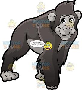 gorilla clipart realistic cartoon