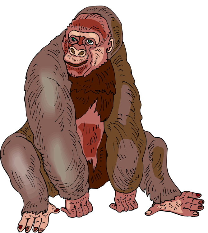 gorilla clipart silverback