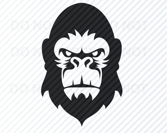 gorilla clipart vector