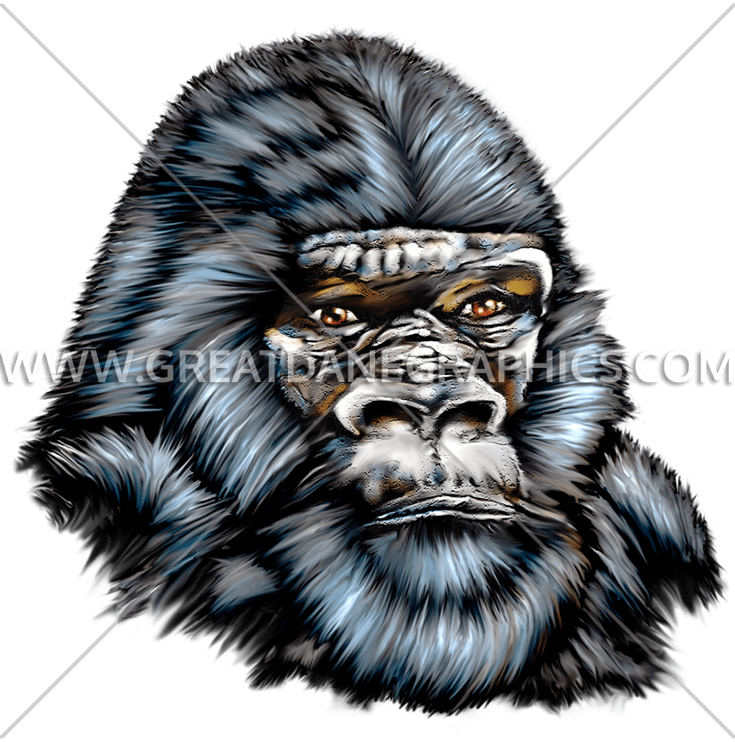 gorilla clipart vector