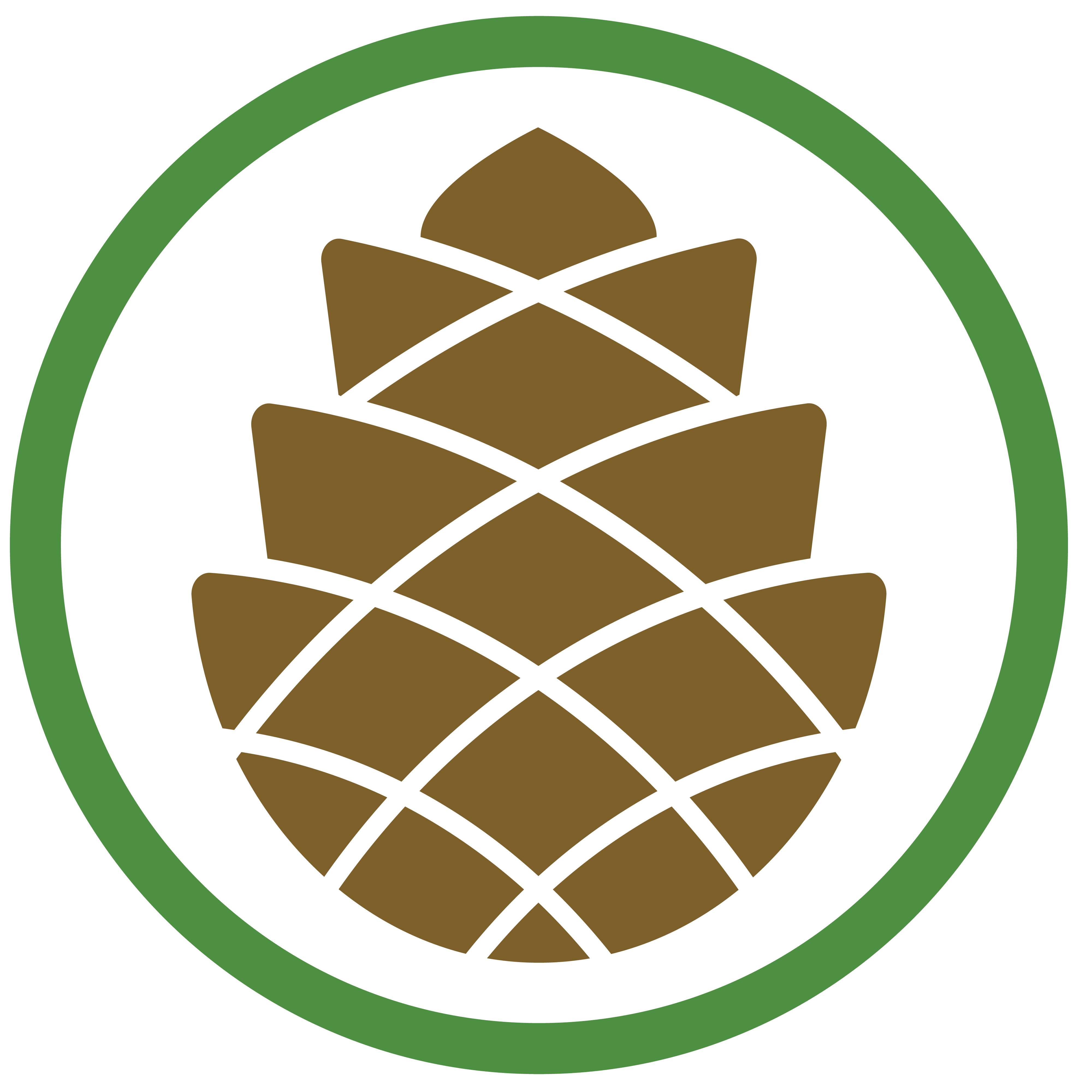 Government clipart paralegal. Paralegals lewis longman walker