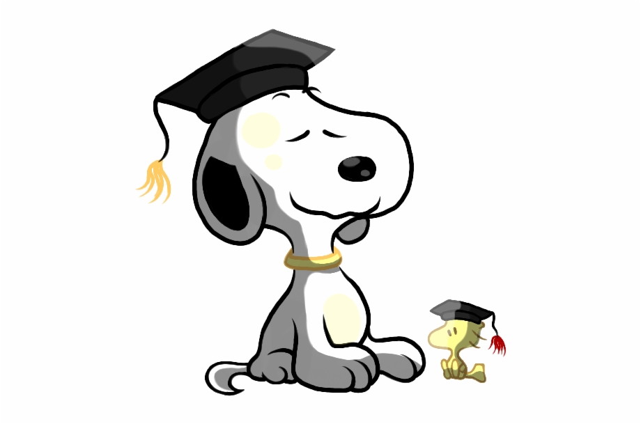 graduate clipart dog