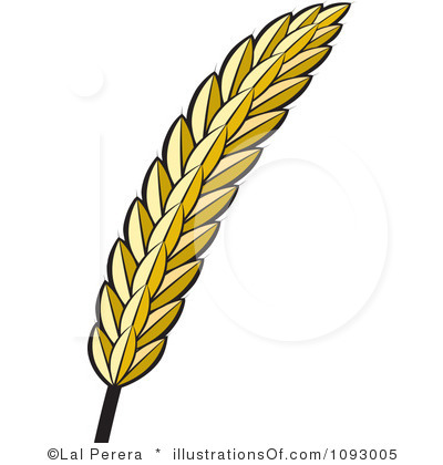 Grain of . Wheat clipart