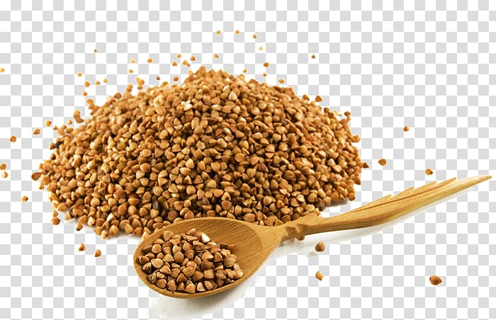 grains clipart buckwheat