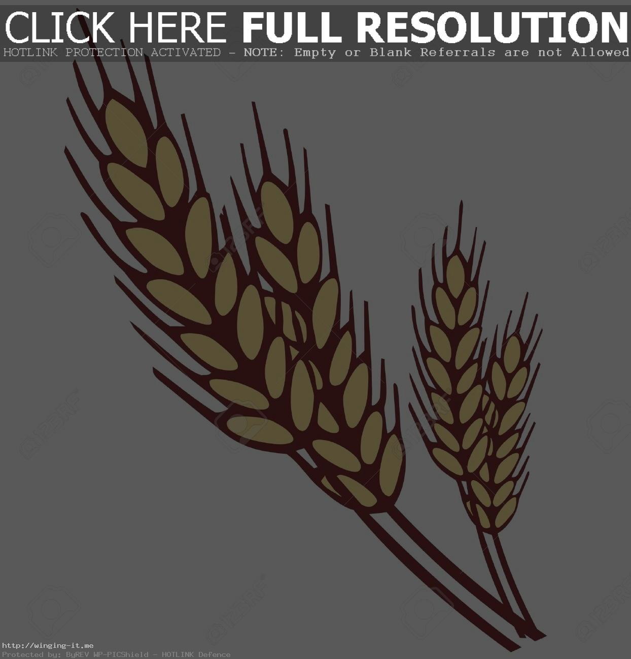 grains clipart bushel wheat