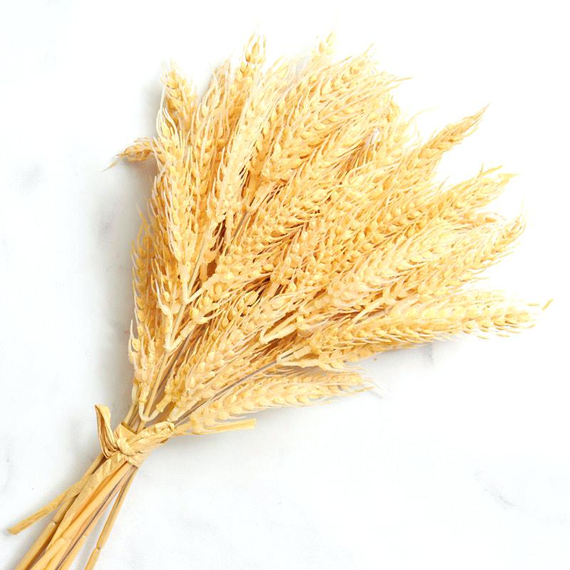 grains clipart bushel wheat