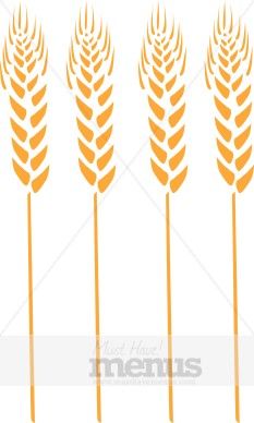 Wheat and . Grain clipart chaff