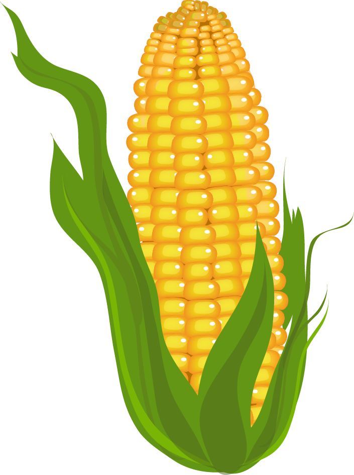 Is raw food healthier. Grain clipart corn grain