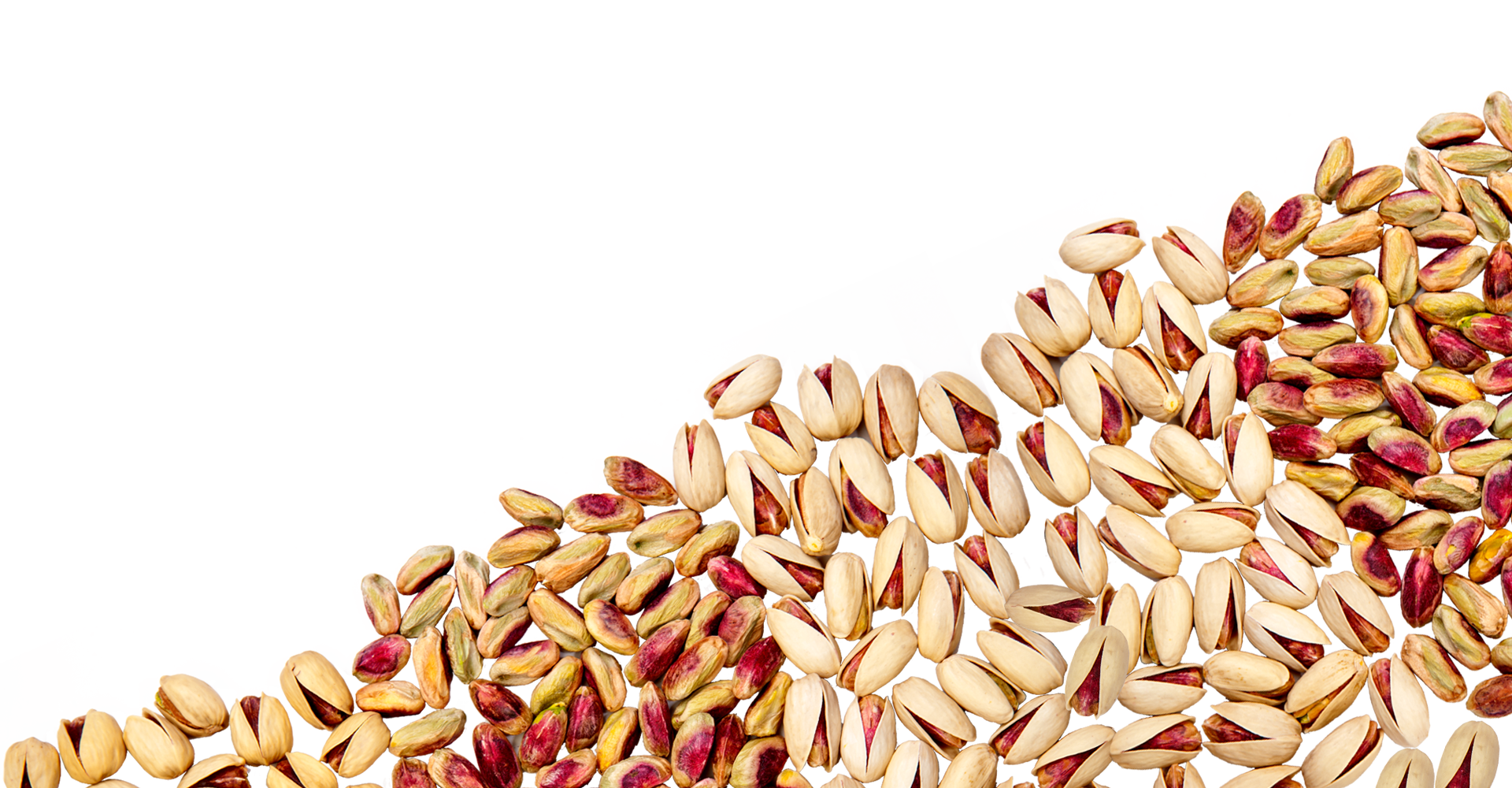 grains clipart dry fruit