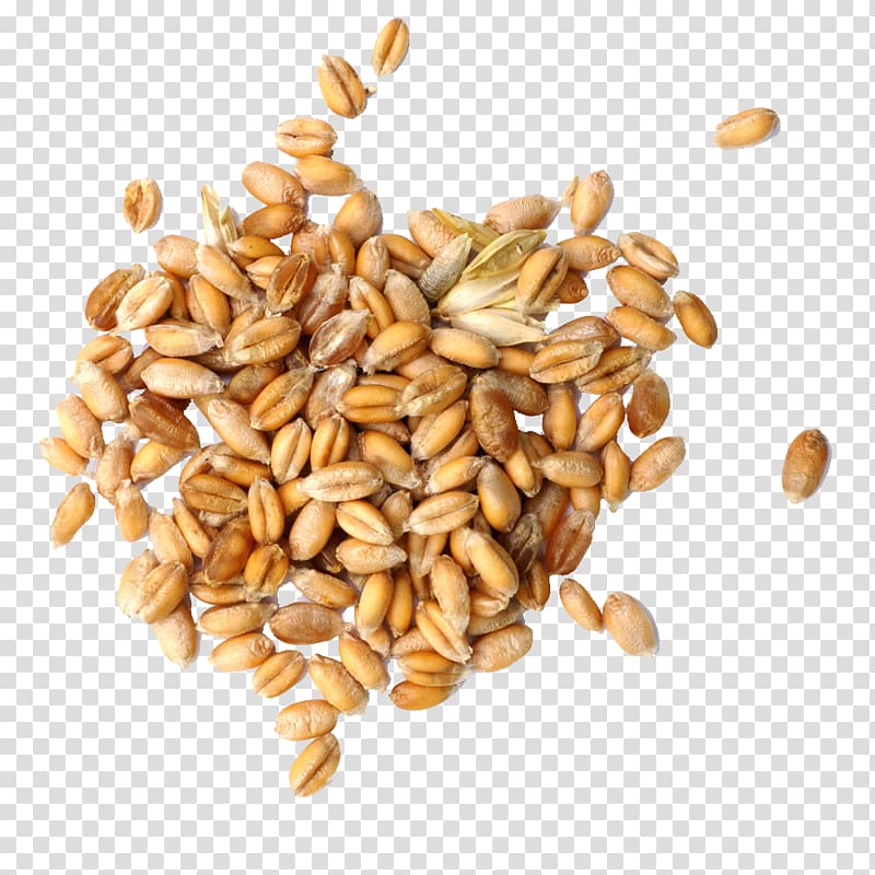 Wheat clipart wheat seed. Pile of peanuts cereal