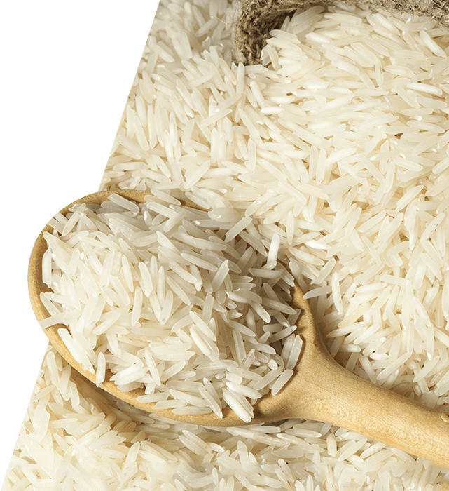 Hd png transparent images. Rice clipart rice paddy