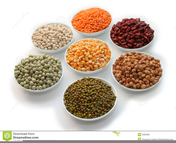 Free grain download clip. Grains clipart pulse