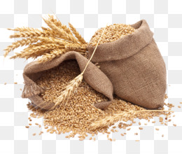Grains clipart refined. Png and transparent 