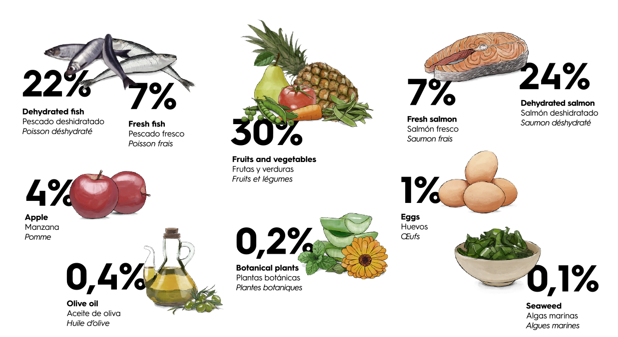 grains clipart starchy food
