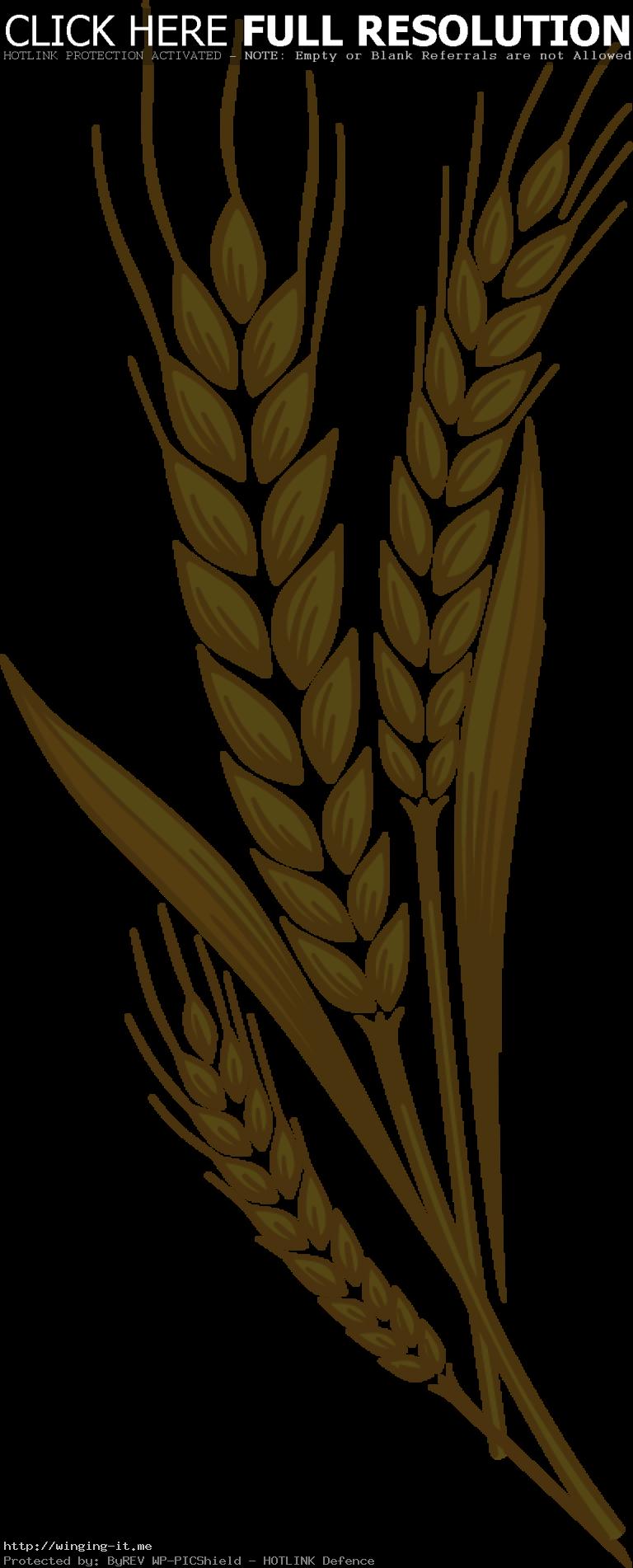 grain clipart wheat leaves