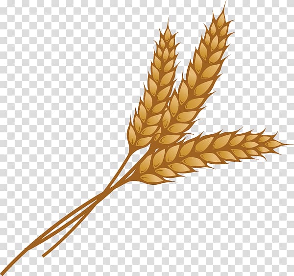 Grain clipart wheat plant. Brown illustration ear 