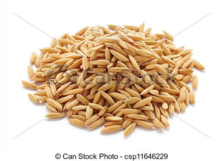 grains clipart