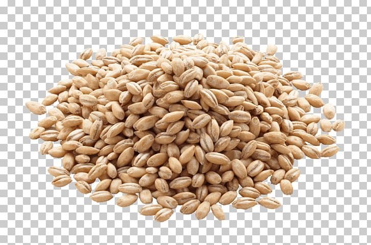 grains clipart bran
