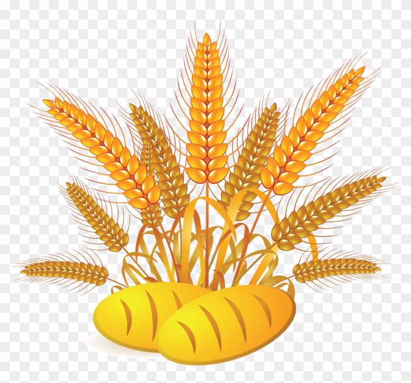 Png photo cereal clip. Grains clipart cerial